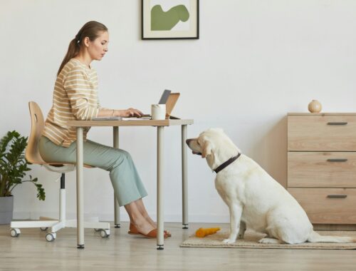 Home office